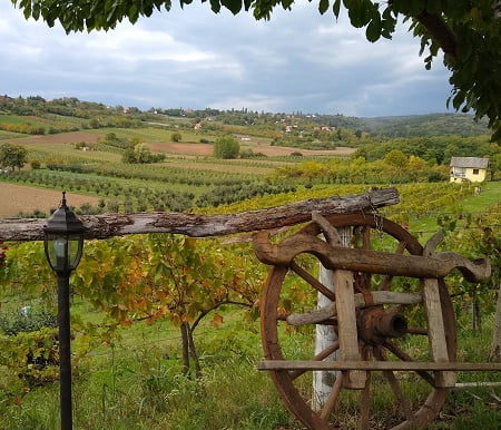 Ko su najveći izvoznici vina u regionu