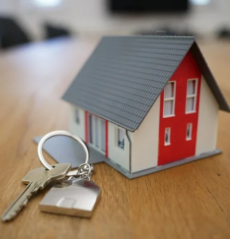 BBI banka prva uvela ponudu za dijasporu BiH