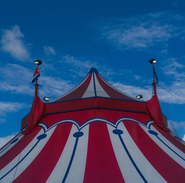 Akrobata i programer ušao u svet startapa