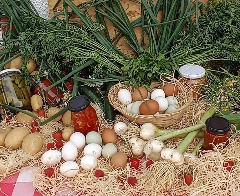 Prijave za 13. NLB Organic konkurs do 31.05.