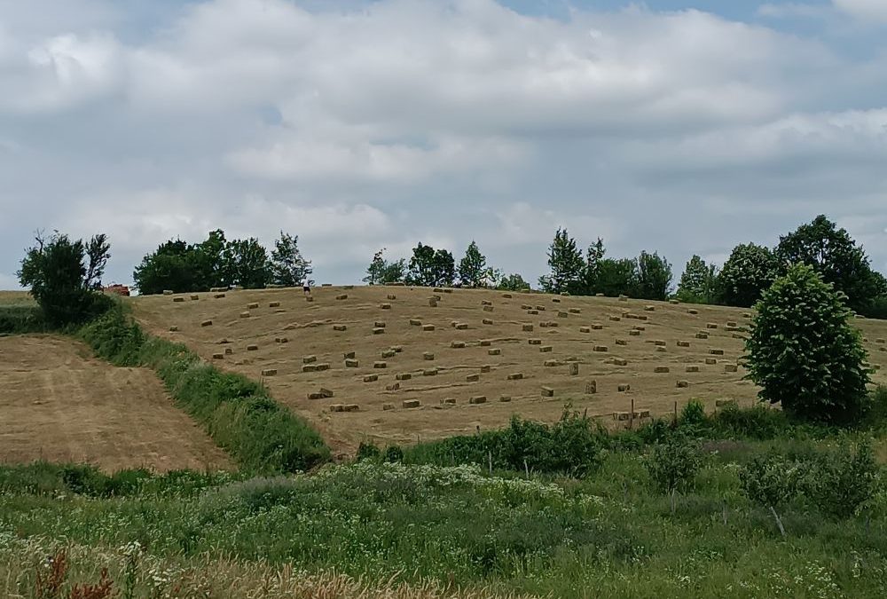 Šta sve nudi prvi srpski i regionalni Biodistrikt Kolubara