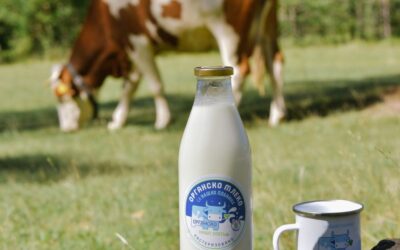 Mlekara “Naša Zlatka” jedina u Srbiji proizvodi organsko, pasterizovano mleko