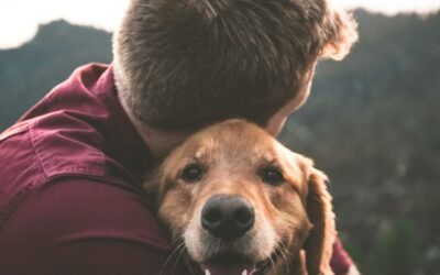 Danas je Dan kućnih ljubimaca