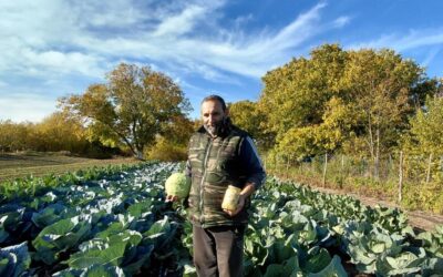 Fantazija ukusa iz bašte porodice Filjka 