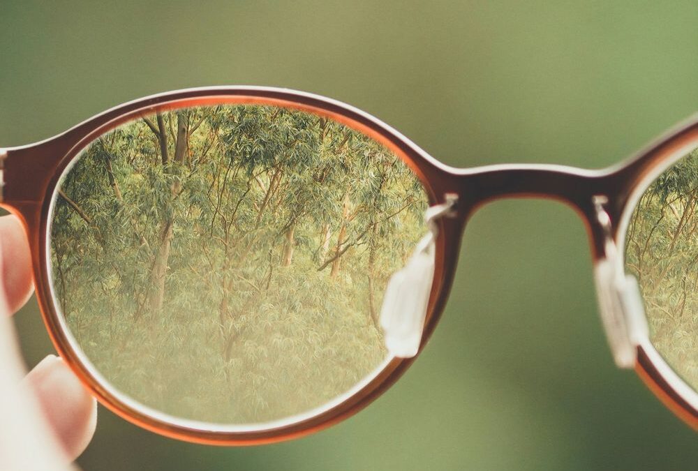 Gde su mala i srednja preduzeća u budžetu za 2026?