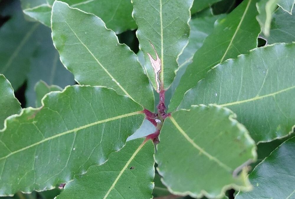 WARM UP HUSH UP 2026: Kako kompanije danas donose odluke o ESG komunikaciji