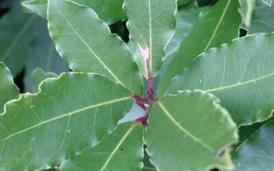 WARM UP HUSH UP 2026: Kako kompanije danas donose odluke o ESG komunikaciji