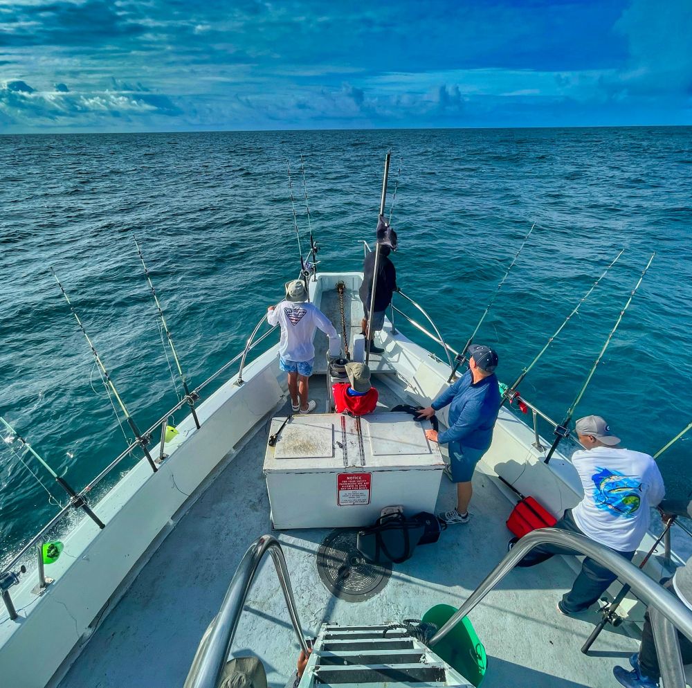 gene-gallin-_-PALv-NrN8-unsplash