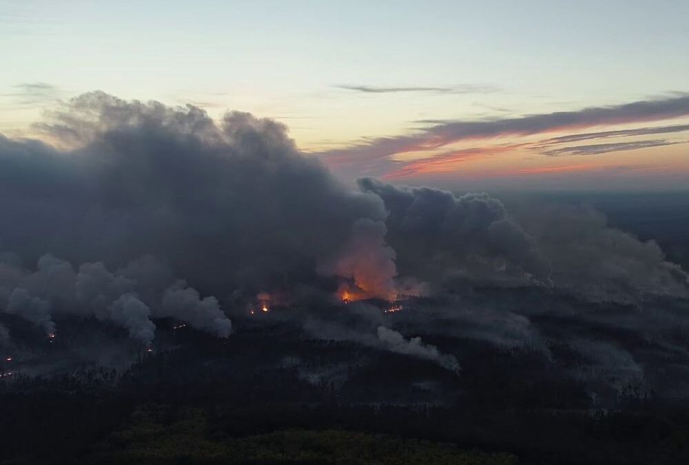 Besplatne online projekcije filma „Divia“ povodom Dana planete Zemlje