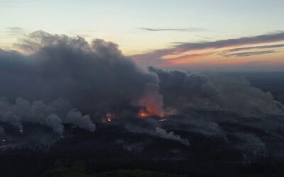 Besplatne online projekcije filma „Divia“ povodom Dana planete Zemlje