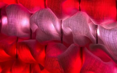 Digital Art Week Belgrade od 27. do 31. 10. 2026.
